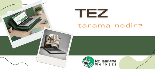 Tez Tarama Nedir?